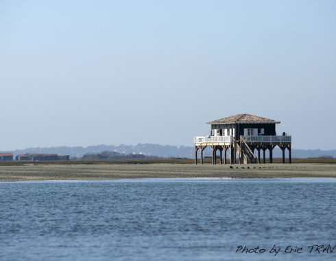 architecte la teste cabane tchanquee