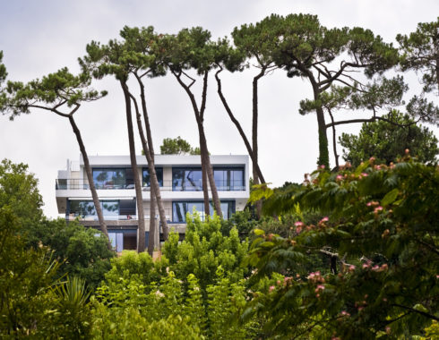 Villa W Architecte Bassin Arcachon vue foret